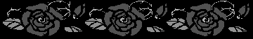 roses.jpg